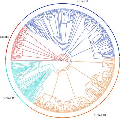 Identification of elite fiber quality loci in upland cotton based on the genotyping-by-target-sequencing technology